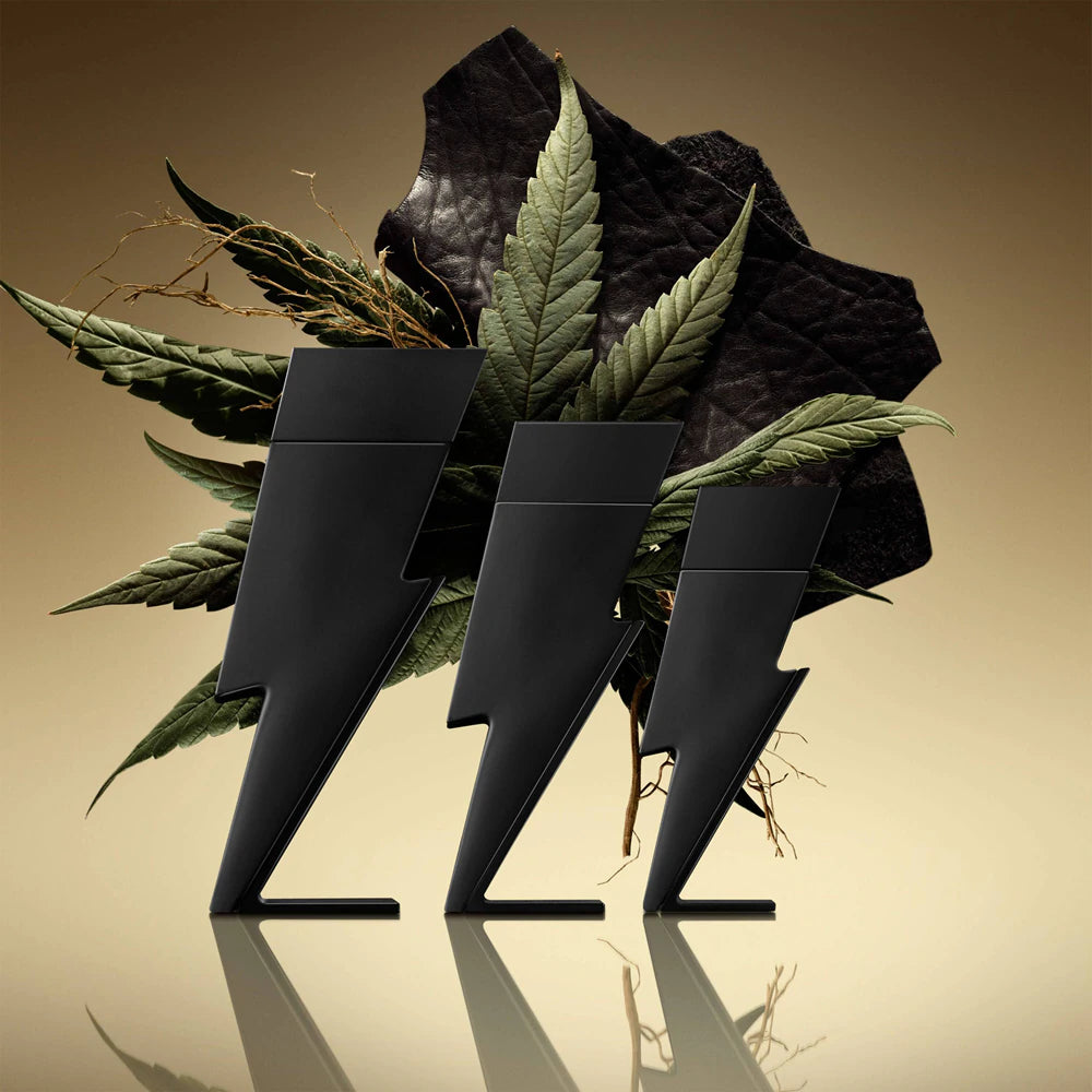 bad-boy-le-parfum___240604