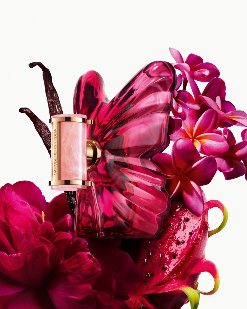 product-1694-1771269297-9615-800×1000